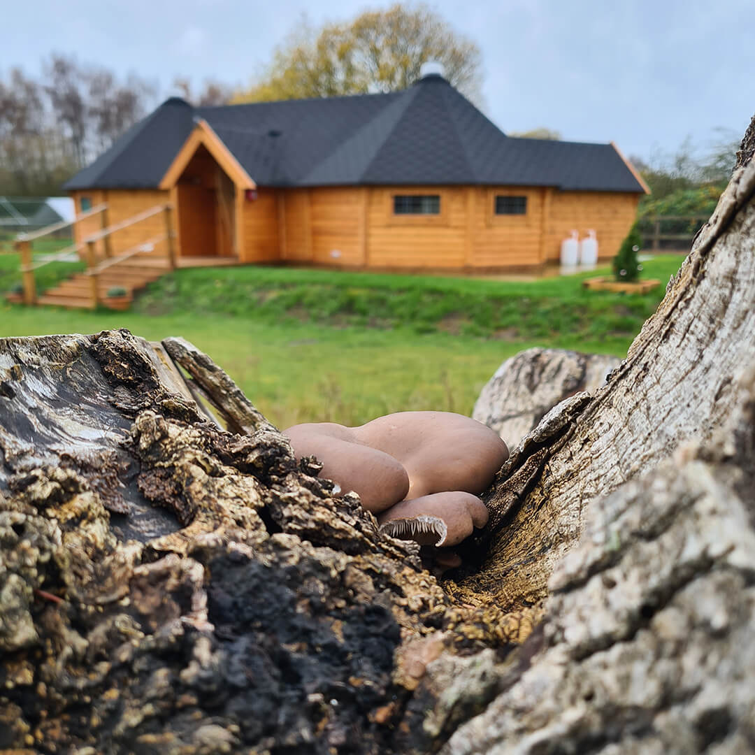 The Happy Homestead Eco Nursery Building